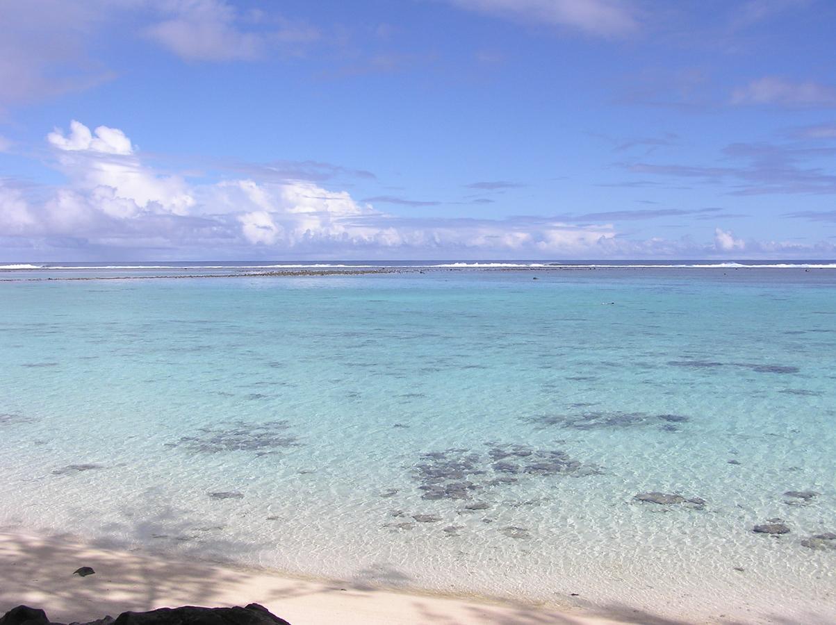 Aroa Kainga Bungalows And Apartment Rarotonga Esterno foto